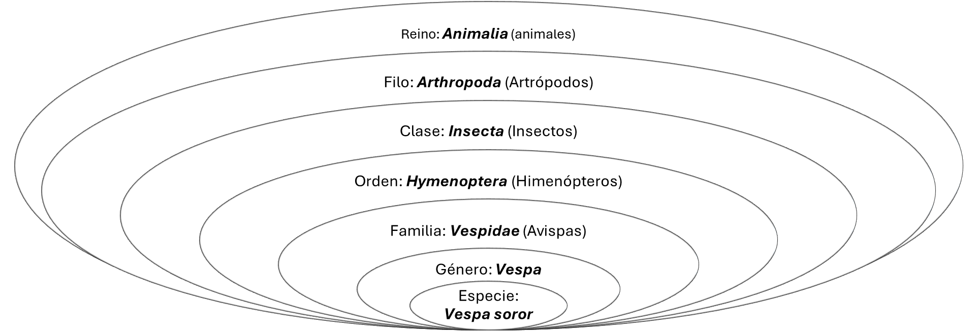 Información taxonómica